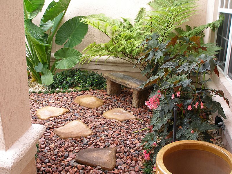 landscapins pictures 196